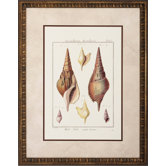 Rostellaire / Pyrule Wall Art (Set of 2)