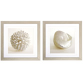 Shell II and III Print Set - 28" x 28"