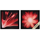 Lilium / Gerbera Wall Art (Set of 2)