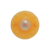 8 Month Teether