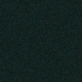 Beech Tree Lane Square Carpet Tile in Shelter