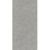 Magma 12" x 24" Light Polished Field Tile in Flat Ash