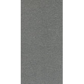 Magma 12" x 24" Light Polished Field Tile in Flat Lava