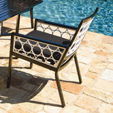 Parkview Cast Dining Arm Chair with Cushion