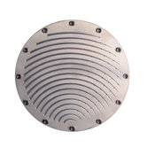 Mina Curves Shower Head