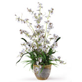 Dancing Lady Silk Orchid Arrangement in White