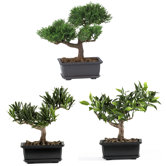 8.5" Silk Bonsai Plant in Green (Set of 3)