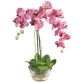 Phalaenopsis Silk Orchid Arrangement in Purple with Glass Vase