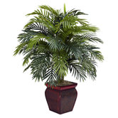 Indoor Plants