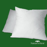 Euro Pillow (set of 2)