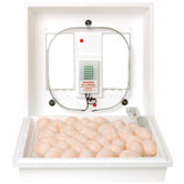 Still Air Egg Incubator