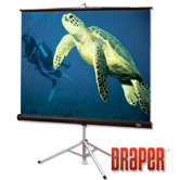 High Contrast Grey Diplomat Portable Screen - 10' diagonal NTSC Format