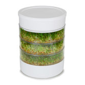 4-Tray Seed Sprouter