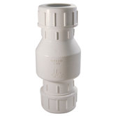 2" Check Valve