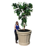 Kutstone Roman Urn Planter