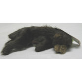 Clyde The Bear Dog Toy
