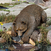 Catch of The Day Grand Bear Statue