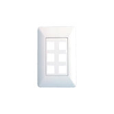 6 Port AnyPort Wall Plate