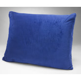 Blueberry Kid's Pillow
