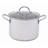 10-qt. Stock Pot with Lid