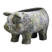 Aged Pig Planter
