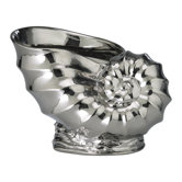 Shell Planter