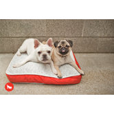 Safari Serengeti Rectangular Dog Bed in Splashed White / Lust