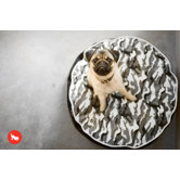 Backyard Camouflage Round Dog Bed in White Camo