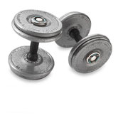 Gray Pro Style Dumbbell with Urethane Snug Grip Handles (Set of 2)