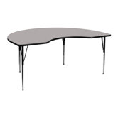 Kidney Activity Table