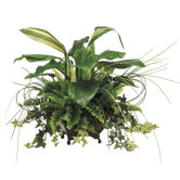 Hosta/Fern in Square Metal Container