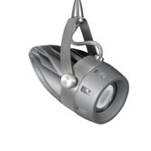 Pentas LED Luminaire with GE Infusion LED Module in Titanium