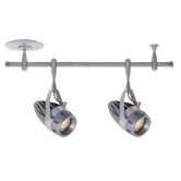 Low Voltage Track and Monopoint Two Light Pentas LED Luminaire Kit in Brushed Aluminum