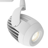 Line Voltage Track Zinnia Luminaire
