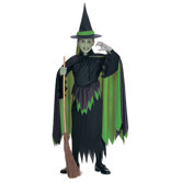 Wizard of Oz Wicked Witch Child Costume