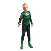 Green Lantern Standard Tomar Re Teen Costume