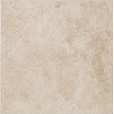 Safari 12" x 12" Floor Field Tile in Swaziland