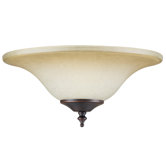 Glass Bowl Fixture in Antique Amber Scavo