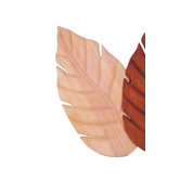 52" Indoor Ceiling Fan Blade (Set of 5)