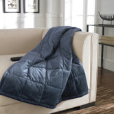 Thinsulate Albany Micromink Blanket in Blue