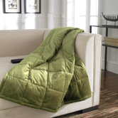Thinsulate Albany Micromink Blanket in Sage