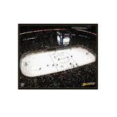 NHL Arena Canvas Art
