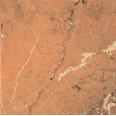 Natural Stone 12" x 12" Marble Tile in Rojo Alicante