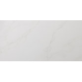 Paladino 12" x 24" Floor Tile in Albanella