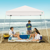 Cirrus Instant Canopy