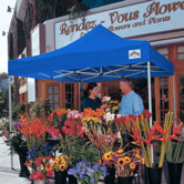 Classic Instant Canopy