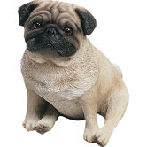 Original Size Pug Pup Sculpture in Fawn