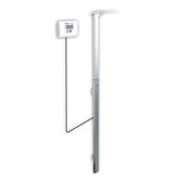 Detecto Body Weight Scales