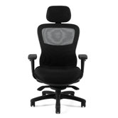 Mesh Back Executive Chair