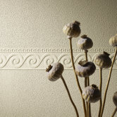 Paint Plus III Roman Swirl Wall Border